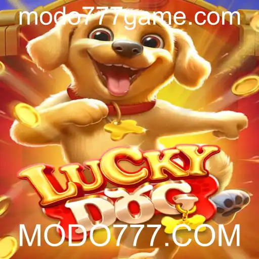 MODO777.COM Casino App